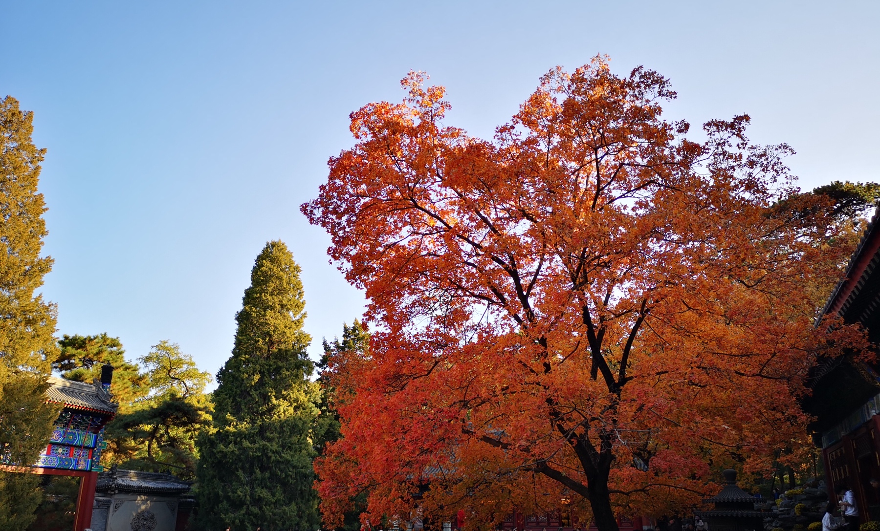 1577429051559.jpg 1577429051559.jpg